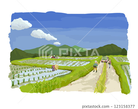 Rural landscape 123158377