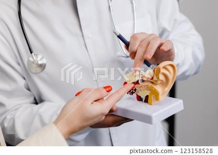 A young attractive otolaryngologist doctor shows a mock-up of an ear and tells a patient about the structure of the ear, close-up A young attractive otolaryngologist doctor shows a mock-up of an ear and tells a patient about the structure of the ear, close-up 123158528