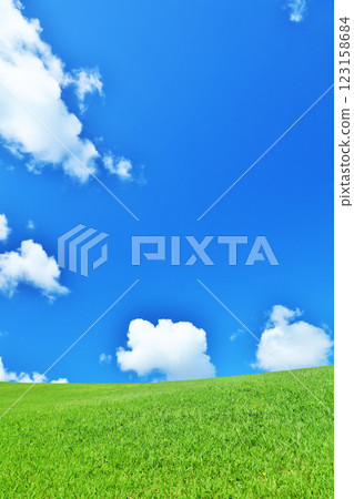 Refreshing summer blue sky and fresh green meadow landscape 123158684