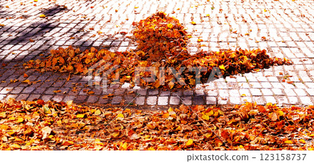 The pointer of the autumn leaves Park Kiev Ukraine 123158737