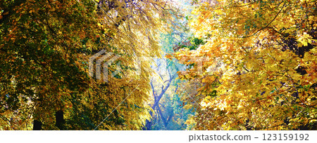 Autumn Park Kiev Ukraine 123159192