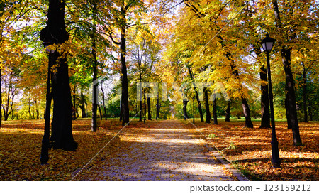 Autumn Park Kiev Ukraine 123159212