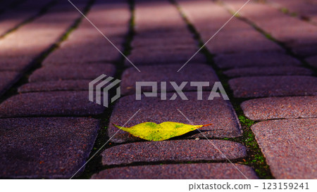 Autumn leaf on the road in the form of lips - autumn kiss 123159241