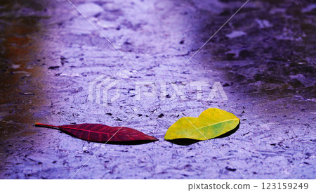 Sad autumn leaf on dark marble 123159249