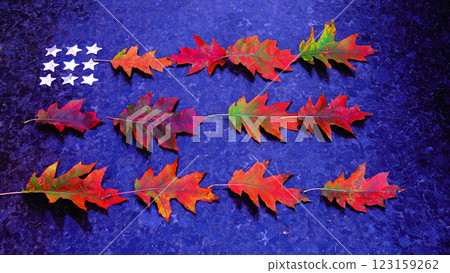 Yellow leaves in the shape of a flag 123159262