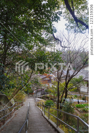 寶塚冬景 123159306