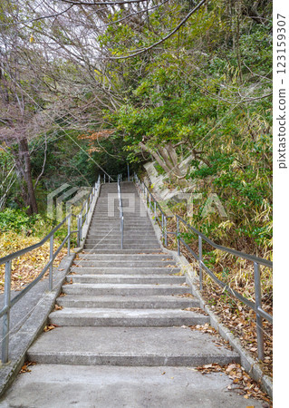 寶塚冬景 123159307