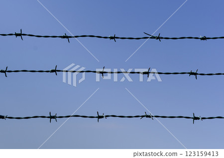 Close-up view of fencing that is made of steel wire. A device that prevents the entry of strangers and animals. Close-up view of fencing that is made of steel wire. A device that prevents the entry of strangers and animals. 123159413