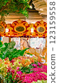 america, indoor, decoration 123159558