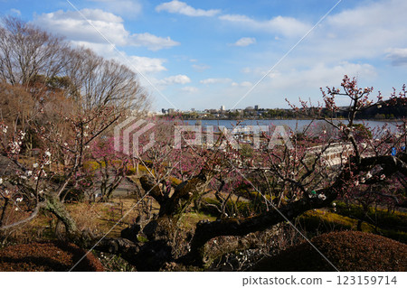 從Kairakuen查看 從Kairakuen查看 123159714