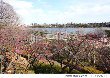 View from Kairakuen 123159715