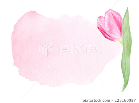 Tulip flower horizontal card on pink watercolor background. Hand painted delicate pink flower, eco design. High quality clip art perfect for mother's day, women's day cards, posters, banners, decor Tulip flower horizontal card on pink watercolor background. Hand painted delicate pink flower, eco design. High quality clip art perfect for mother's day, women's day cards, posters, banners, decor 123160087