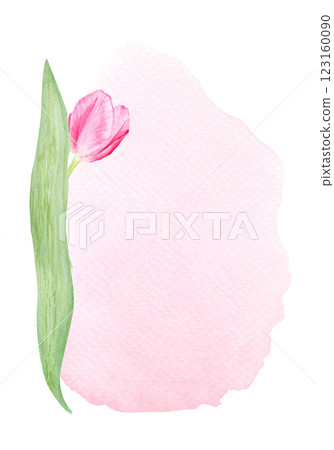 Tulip flower vertical card on pink watercolor background. Hand painted delicate pink flower, eco design. High quality clip art perfect for mother's day, women's day cards, posters, banners, decor Tulip flower vertical card on pink watercolor background. Hand painted delicate pink flower, eco design. High quality clip art perfect for mother's day, women's day cards, posters, banners, decor 123160090