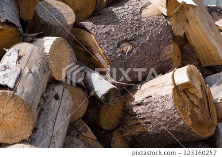 Chopped wood ready for heating. Detailed view. Chopped wood ready for heating. Detailed view. 123160257