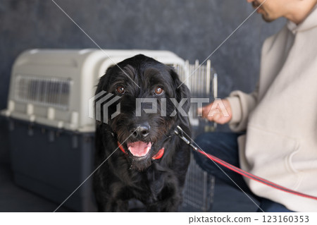 大型犬正在接受籠內訓練,對著鏡頭看起來很可愛 大型犬正在接受籠內訓練,對著鏡頭看起來很可愛 123160353
