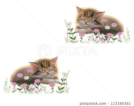 Sleeping cat seamless pattern H-1 Sleeping cat seamless pattern H-1 123160381