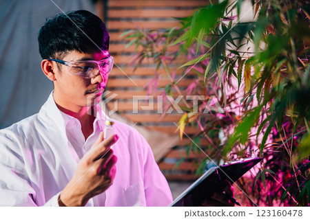 Marijuana researcher Asian man wearing glasses and holding a vial bottle and a clipboard to check list in cannabis sativa hemp plants in cannabis farms, herbal alternative medicine 123160478