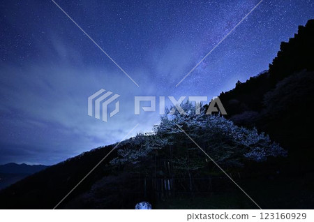 The Milky Way and Tarumi Cherry Blossoms The Milky Way and Tarumi Cherry Blossoms 123160929