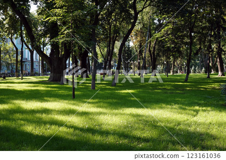 Alleys and paths in the Mariinsky Park of Kiev in summer Alleys and paths in the Mariinsky Park of Kiev in summer 123161036