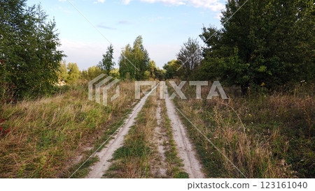 Rolled road in a summer forest 123161040