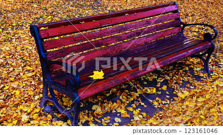 Bench smile in the autumn park Kiev Ukraine Bench smile in the autumn park Kiev Ukraine 123161046