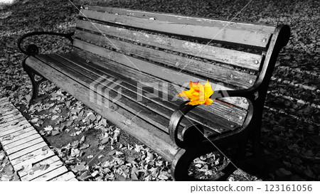 Bench smile in the autumn park Kiev Ukraine Bench smile in the autumn park Kiev Ukraine 123161056