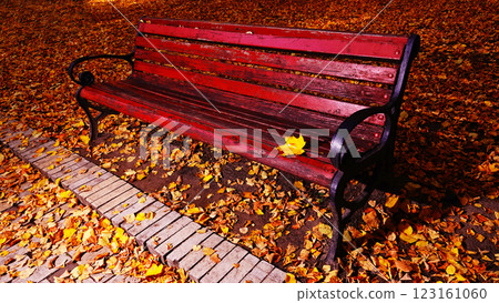 Bench smile in the autumn park Kiev Ukraine Bench smile in the autumn park Kiev Ukraine 123161060