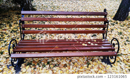 Bench smile in the autumn park Kiev Ukraine 123161065