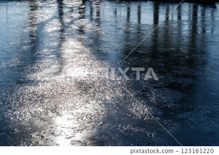 Forest that reflects 123161220