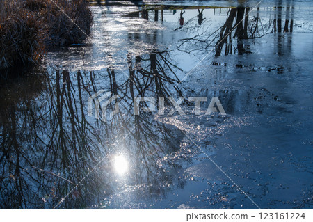 Shining ice 123161224