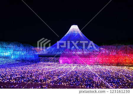 Nabana no Sato Illumination and Mt. Fuji (Nagashima Resort, Kuwana City, Mie Prefecture) 123161230