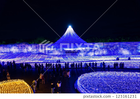 名花之裡照明與富士山(三重縣桑名市長島度假村) 名花之裡照明與富士山(三重縣桑名市長島度假村) 123161231