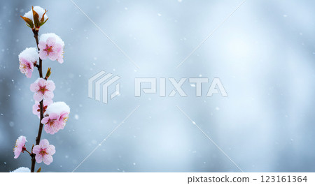 Delicate Winter Bloom With Fresh Snowflakes 123161364
