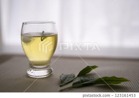 將新茶冷藏 123161453