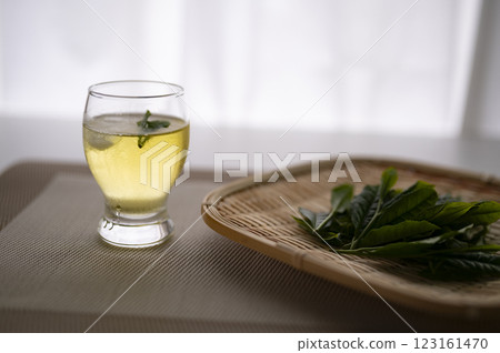 將新茶冷藏 將新茶冷藏 123161470