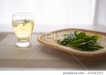 將新茶冷藏 將新茶冷藏 123161471