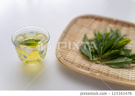 將新茶冷藏 123161476