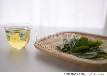 將新茶冷藏 123161477