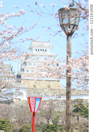 Pink Sakura full bloom at Himeji castle. The most beautiful flower and great ancient, heritage castle in Japan. 123161606