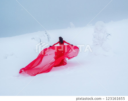 Fairy tale girl on polar winter landscape. 123161655
