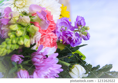 充滿日式氛圍的菊花插花 123162022