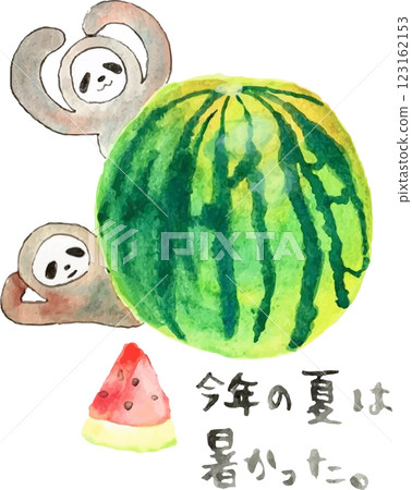 帶有樹懶和西瓜的夏日賀卡 帶有樹懶和西瓜的夏日賀卡 123162153