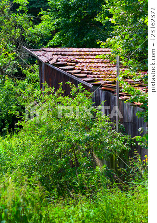 Old and damaged garden shed. This shed stands in an abandoned and devastated garden. Old and damaged garden shed. This shed stands in an abandoned and devastated garden. 123162372