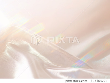 美麗的米色背景 123163222