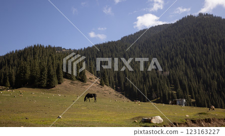 autumn view of Altyn Arashan area in Kyrgyzstan autumn view of Altyn Arashan area in Kyrgyzstan 123163227