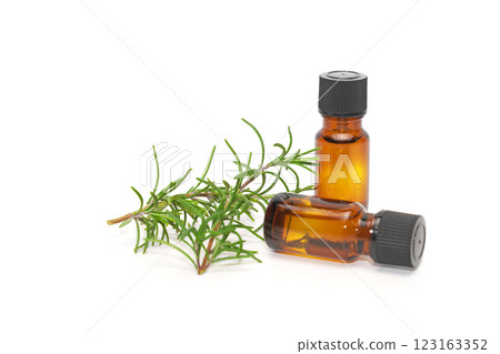 Rosemary oil in bottle with rosemary plants. Rosemary oil in bottle with rosemary plants. 123163352