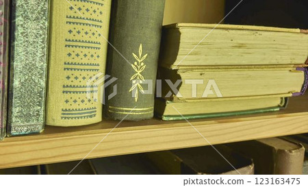 A view of two rows of very old books in the bookcase. Vintage books in an antique bookshelf. The concept of education and the love of knowledge A view of two rows of very old books in the bookcase. Vintage books in an antique bookshelf. The concept of education and the love of knowledge 123163475