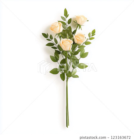 Four light peach roses with green leaves isolated on a white background. Ideal for wedding invitation,romantic postcard,greeting card,valentine's day poster,banner,springtime designs 123163672