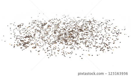 Chia seeds isolated with white background. 123163936