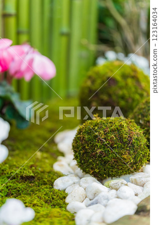 苔蘚球和新年裝飾圖像 123164034
